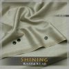shining wash n wear sw6